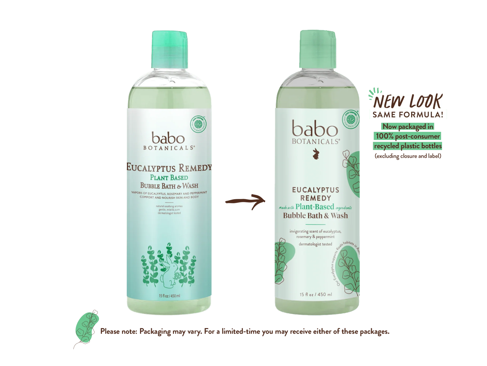 Eucalyptus Body Wash & Bubble Bath - Image 3