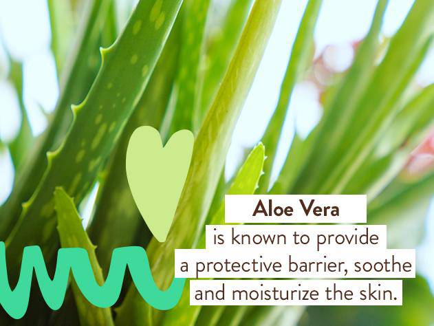 After Sun Soothing Hydrating Aloe Gel - Image 6