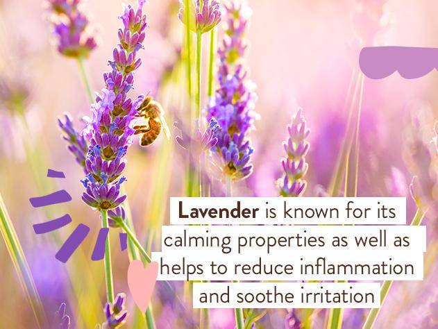 Calming Lavender Bubble Bath & Wash - Image 8