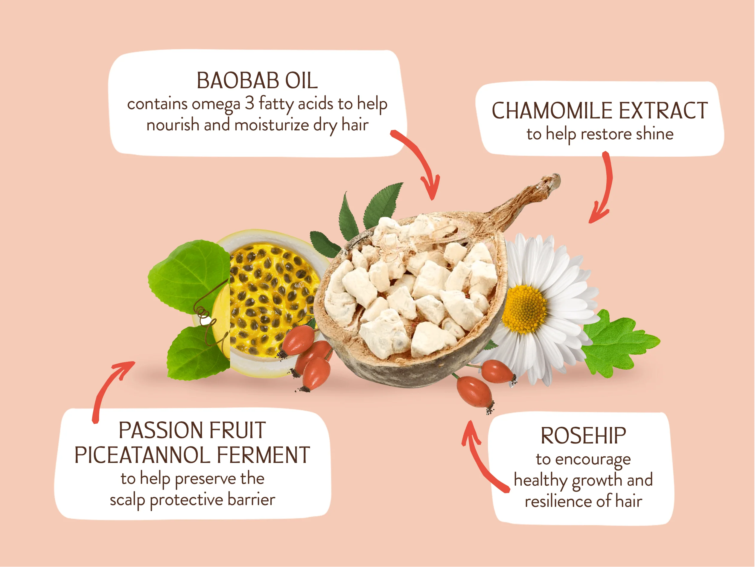Defining Baobab & Rosehip Shampoo Bar - Image 4