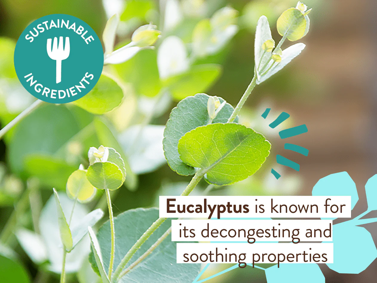 Eucalyptus Remedy Organic Soothing Chest Rub - Image 6