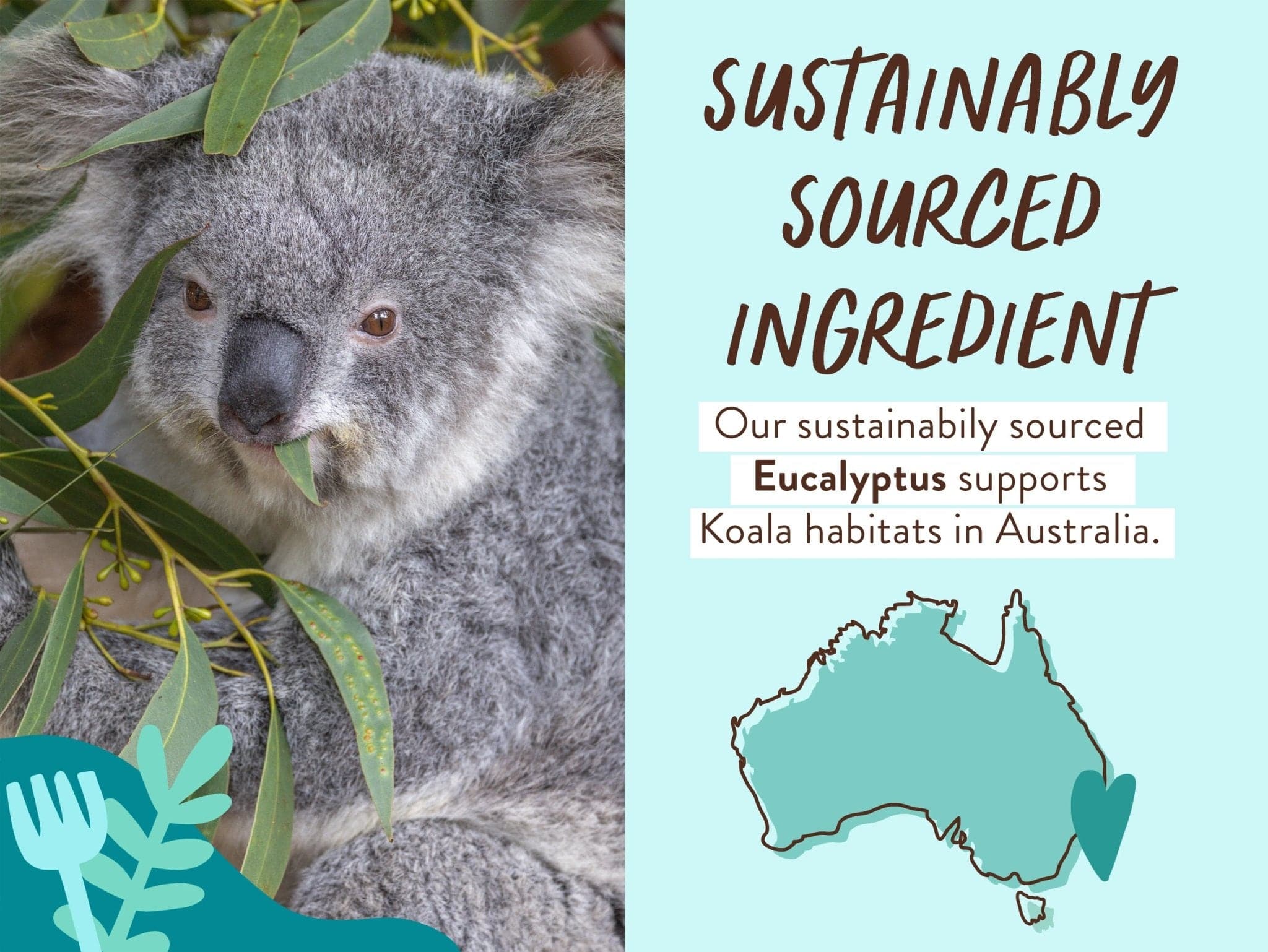 Eucalyptus Remedy Plant-Based Bubble Bath & Wash Duo - Image 6