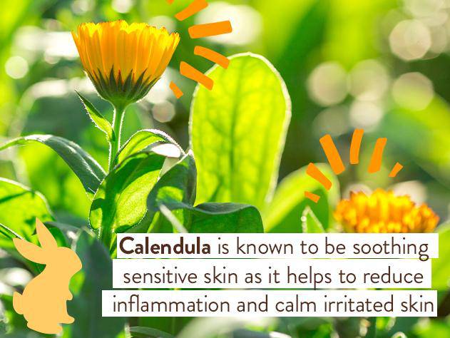 Moisturizing Oat & Calendula Bubble Bath & Wash - Image 6