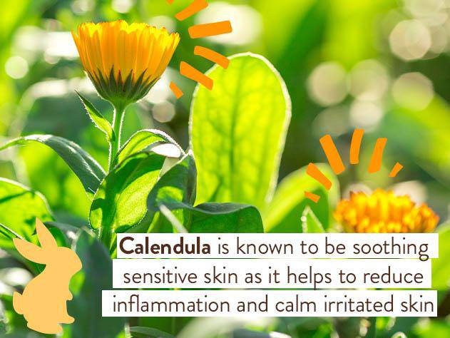 Moisturizing Oat & Calendula Conditioner - Image 6