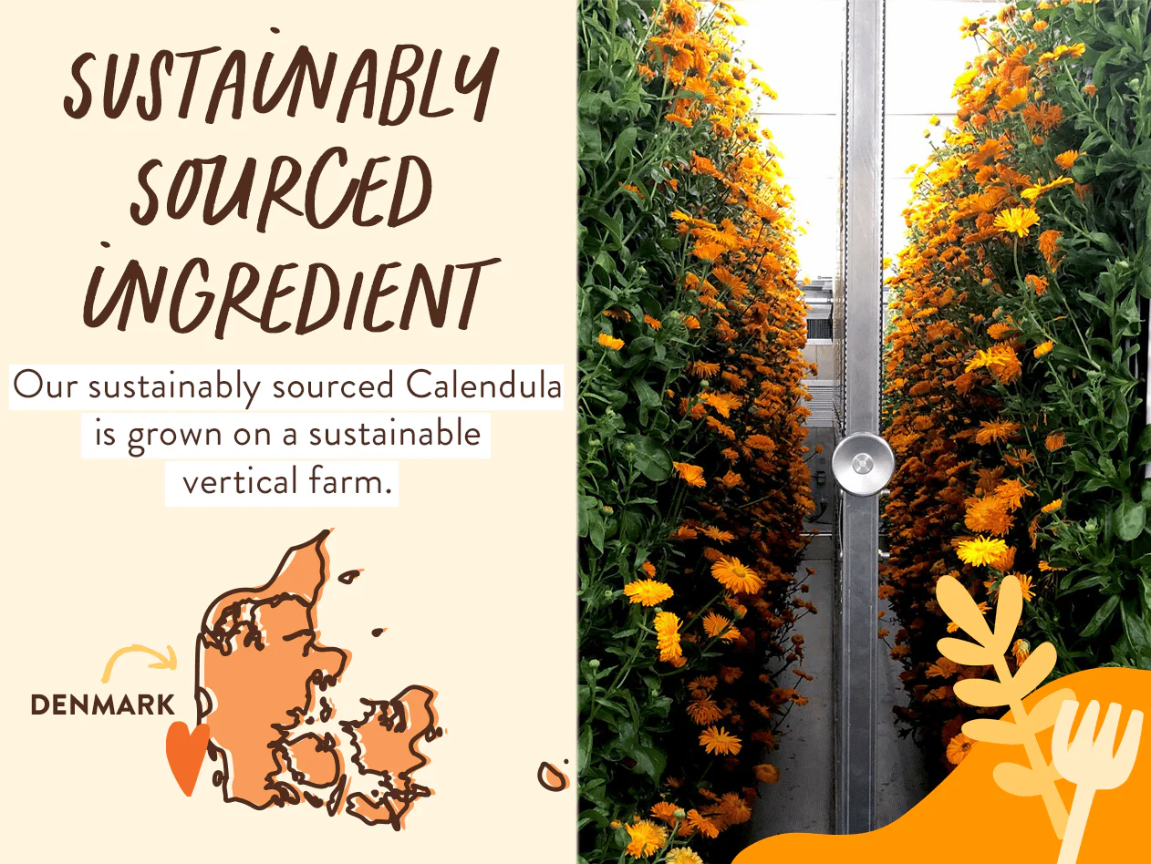 Moisturizing Oat & Calendula Bubble Bath & Wash Duo - Image 6