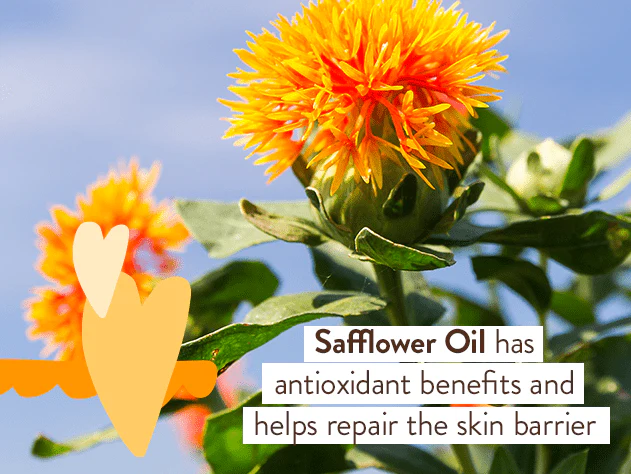 Moisturizing Oat & Calendula Shampoo & Wash Duo - Image 5