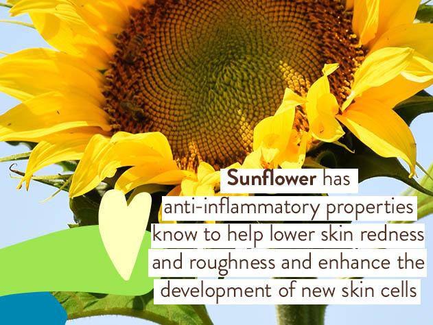 Super Shield Mineral Sunscreen Lotion SPF50 Duo - Image 6