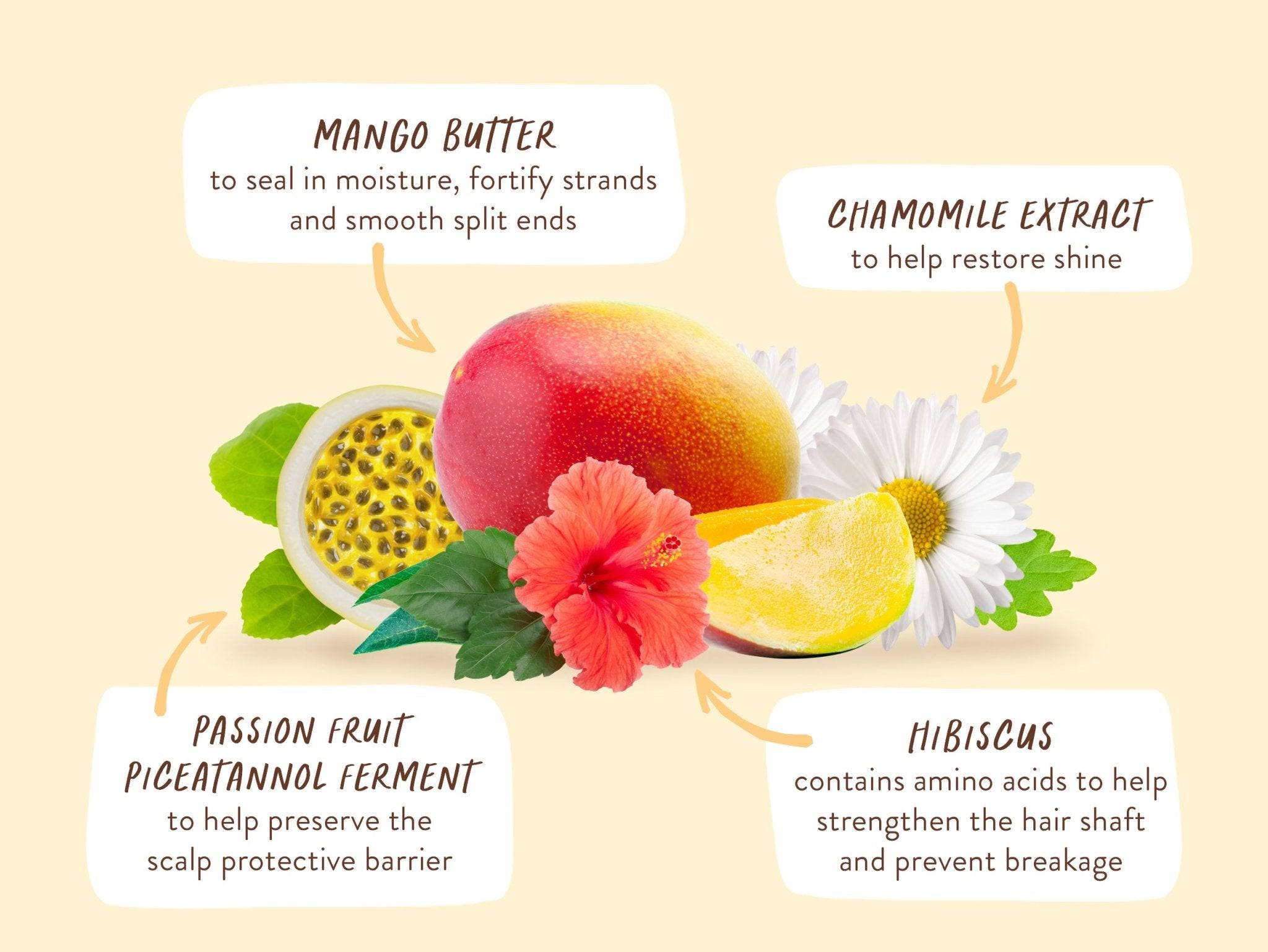 Nourishing Conditioner for Dry, Damaged Hair - Image 6