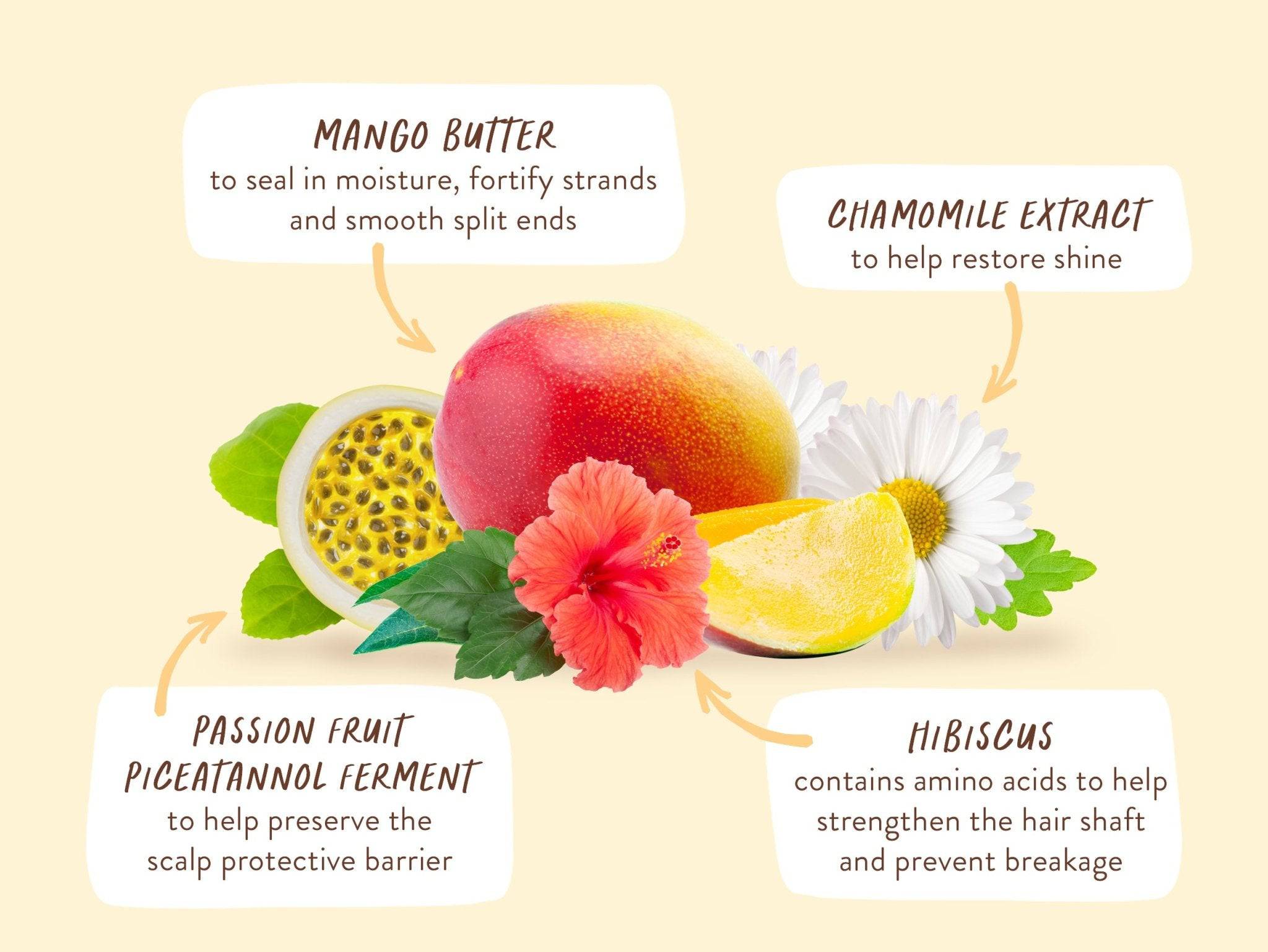 Nourishing Shampoo for Dry, Damaged Hair - Image 6