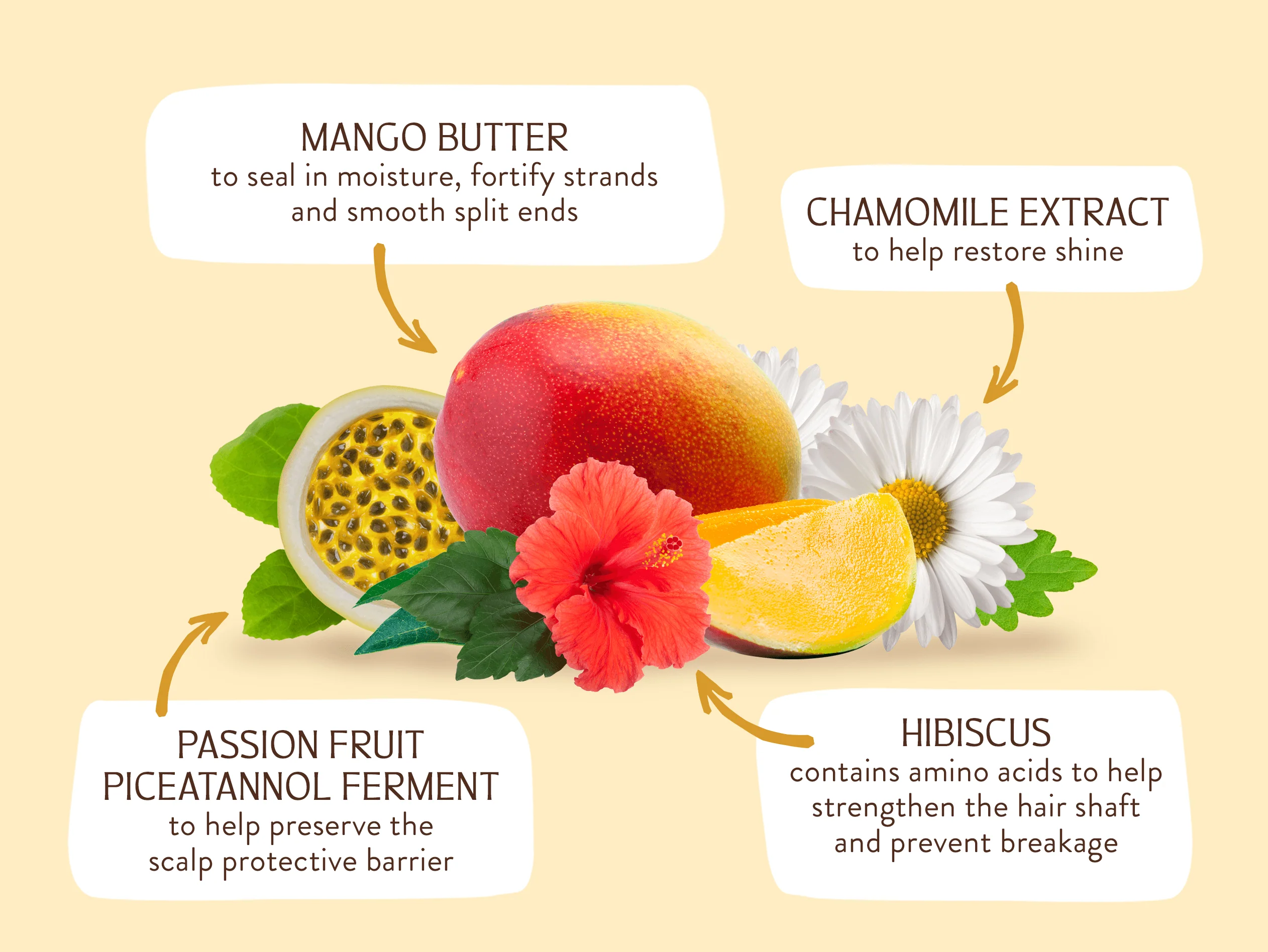 Nourishing Mango & Hibiscus Shampoo Bar - Image 4