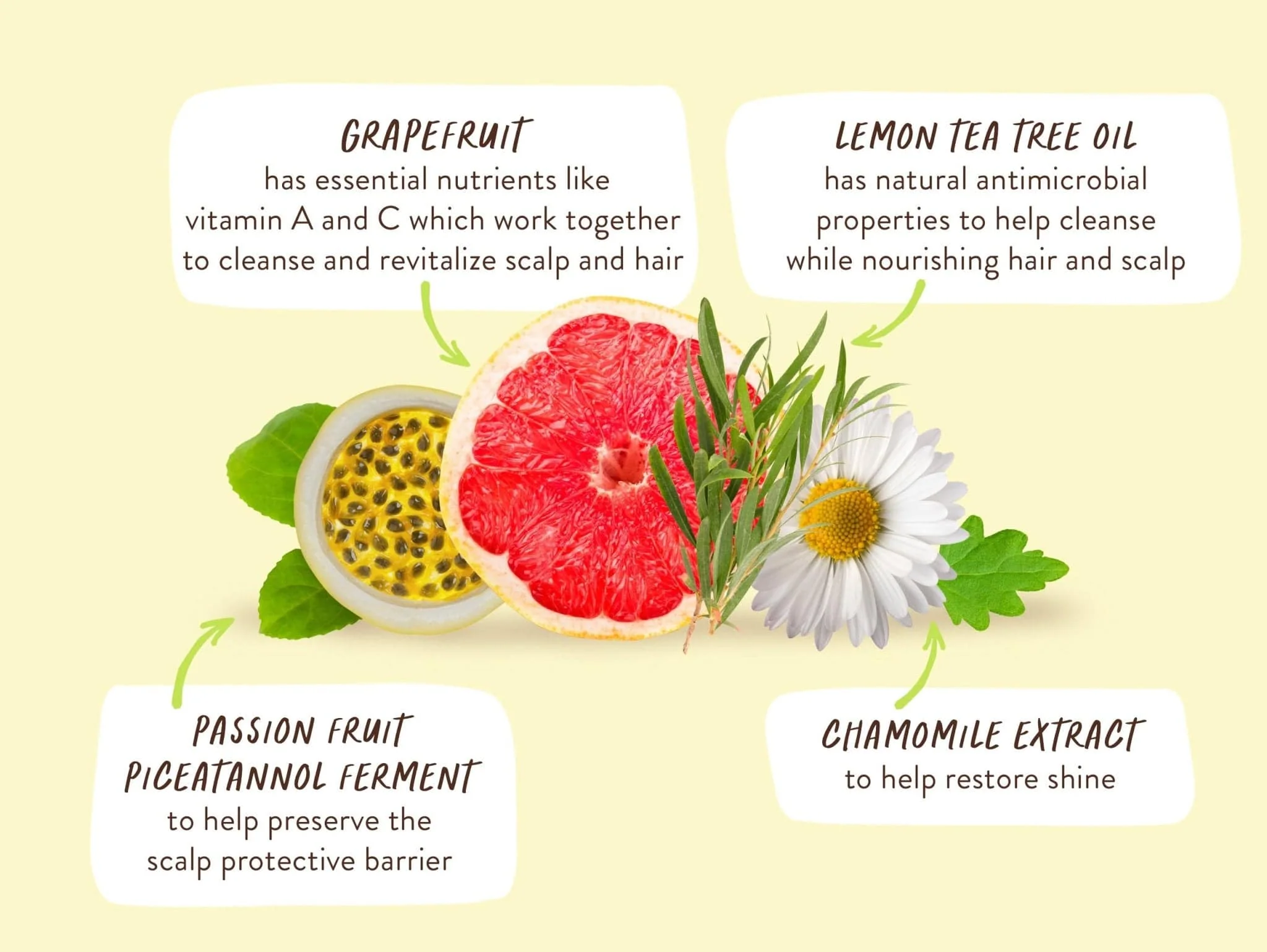 Purifying Conditioner for Flat, Oily hair - Image 6