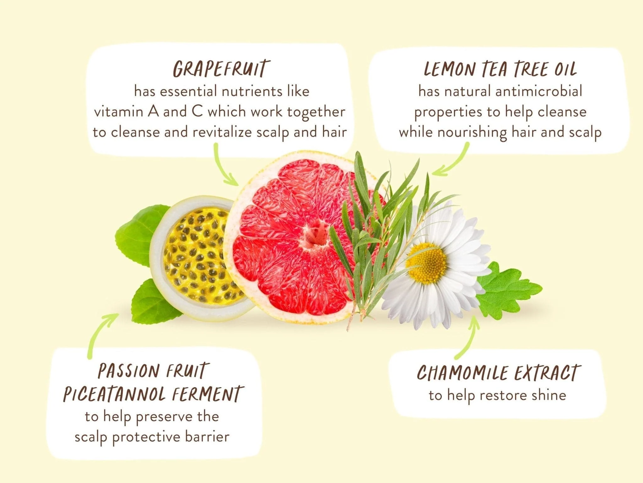 Purifying Shampoo & Conditioner Set - Image 7