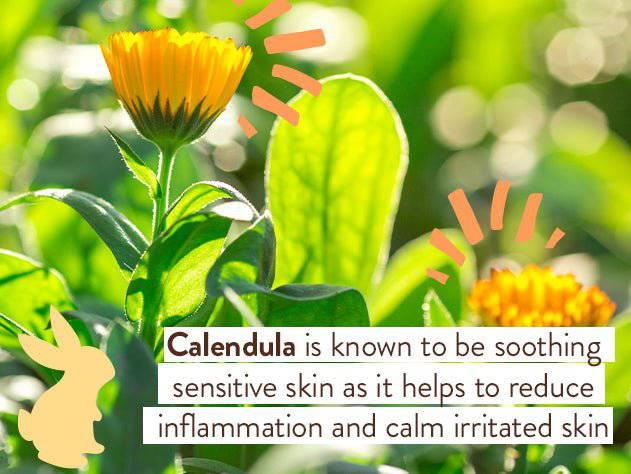 Sensitive Baby Zinc Diaper Rash Cream 3oz Duo - Image 7