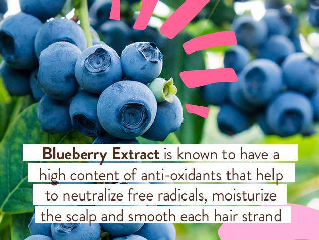 Smoothing Berry & Primrose Conditioner - Image 5