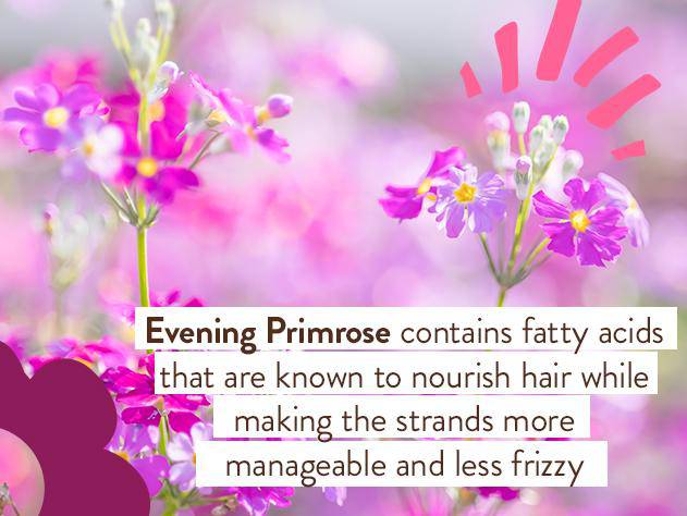 Smoothing Berry & Primrose Shampoo & Wash - 16oz - Image 5