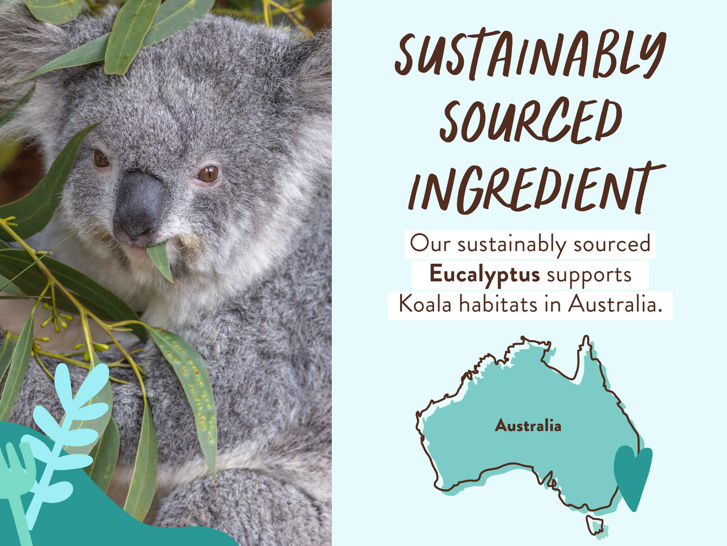 Eucalyptus Remedy Bubble Bath & Wash Refill - Image 5